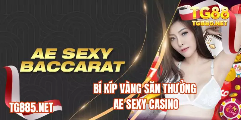 Bí kíp vàng săn thưởng Ae sexy casino